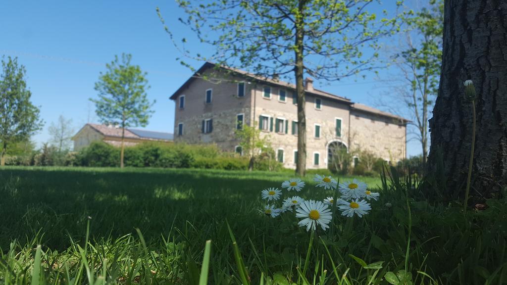 Agriturismo Il Brugnolo Scandiano Eksteriør bilde
