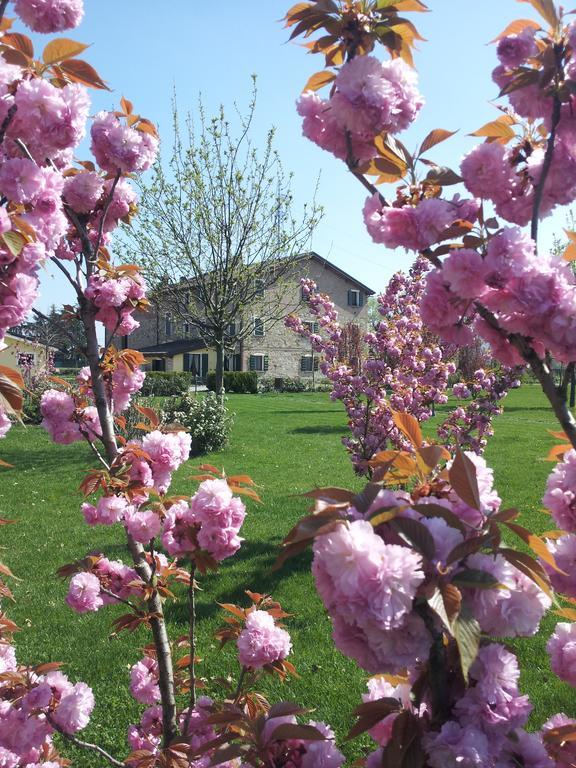 Agriturismo Il Brugnolo Villa Scandiano Eksteriør bilde